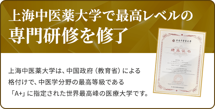 大倉山の整体 うえき治療院は上海中医薬大学で最高レベルの専門研修を修了しています。上海中医薬大学は、中国政府(教育省)による格付けで、中医学分野の最高等級である「A+」に指定された世界最高峰の医療大学です。